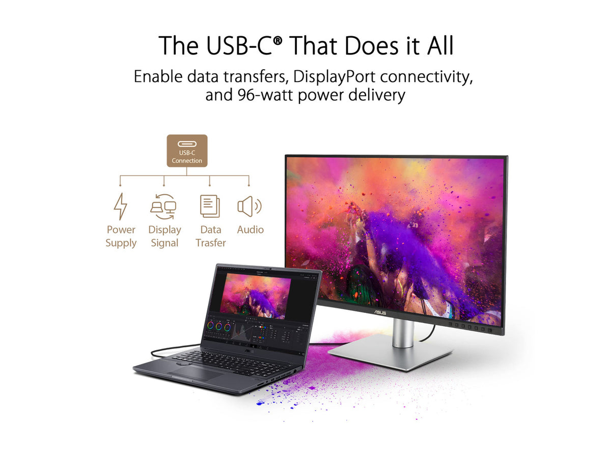 Rear view of ASUS ProArt monitor showing connectivity ports and cable management